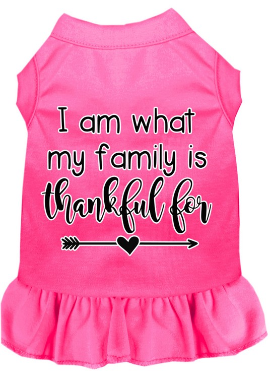 I Am What My Family is Thankful For Screen Print Dog Dress Bright Pink Med